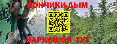 СК Донской