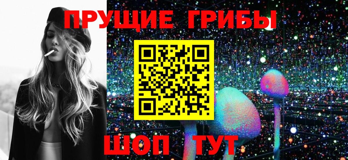 Междуреченск  Псилоцибиновые грибы GOLDEN TEACHER  Вход с VPN 