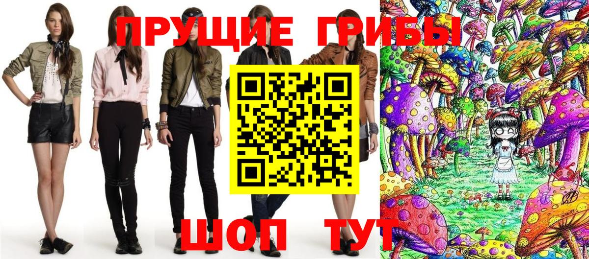Псилоцибиновые грибы Cubensis Междуреченск